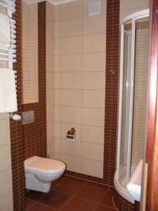 a bathroom with a toilet and a shower at Apartament Pod Aniołem - Gdański in Kazimierz Dolny