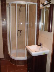 a bathroom with a shower and a sink at Apartament Pod Aniołem - Gdański in Kazimierz Dolny