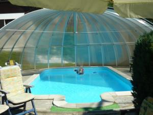 a large greenhouse with a swimming pool in it at Chata Rozárka in Dolni Dvur +15 photos