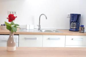 a kitchen with a sink and a vase with a rose at Casa Sol Maris in Novigrad Istria +49 photos