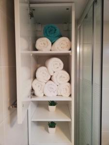 a bathroom with towels on shelves in a closet at Stole Apartment in Izola