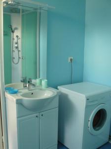 a bathroom with a sink and a washing machine at Maisonnette La Bienvenue in Trainel