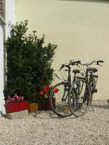 two bikes parked next to a wall with flowers at Maisonnette La Bienvenue in Trainel