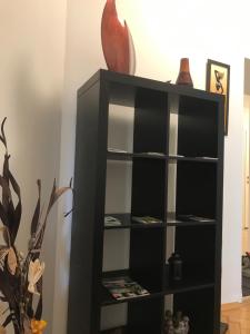 uma prateleira de livros negros numa sala com vasos em Lilians modern Appartement in historical Citycenter em Graz