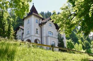 a castle on top of a hill with trees at Adora Luxury Hotel in Bled