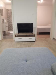 TV a/nebo společenská místnost v ubytování Ivaana