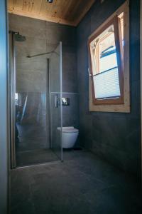 a bathroom with a shower and a toilet in it at Osada Witów - dom "Miłosna Górska" in Witów