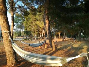 uma rede pendurada entre duas árvores num parque em LE STELLE DI ARNEO - Casa Vacanze em Torre Lapillo