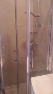 a shower with a glass door next to a sink at Apartments Timi in Poreč