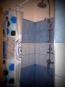 La salle de bains est pourvue d'une douche avec rideau de douche. dans l'établissement Penzion L´isola, à Kunžak