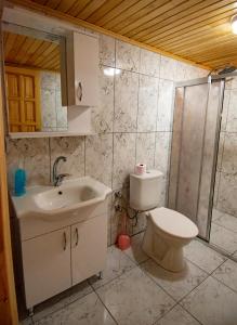 Likya Adrasan Otel في أدراسان: حمام مع مرحاض ومغسلة ودش