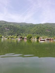 Przyroda w pobliżu tego domu wakacyjnego