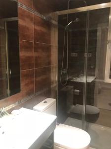 a bathroom with a shower and a toilet and a sink at APARTAMENTO VALLEHERMOSO in Madrid