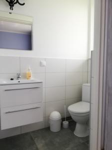 a white bathroom with a toilet and a sink at Słoneczne Uroczysko in Międzywodzie
