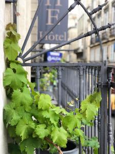 Photo de la galerie de l'établissement Hotel Bleu de Mer, à Bordeaux