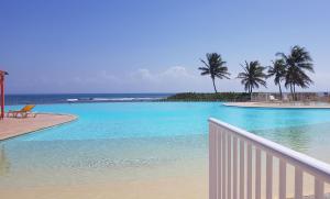 a swimming pool with blue water and palm trees at Le coup de coeur in Saint-François
