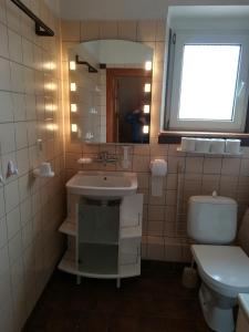 a bathroom with a sink and a toilet and a mirror at Apartament Europejskiej Stolicy Kultury in Wrocław