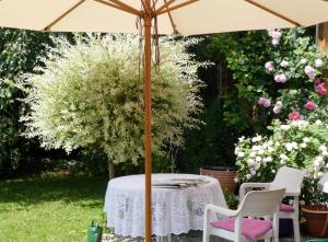 a table and chairs under an umbrella in a garden at 4-Star Holiday House Rösslewiese in Hinterzarten