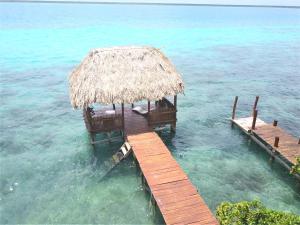 a pier with a straw hut in the water at Villas Ecotucan in Bacalar