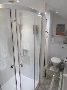 La salle de bains est pourvue d'une douche et de toilettes. dans l'établissement Yr Hen Farcdy, à Talsarnau
