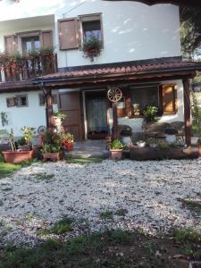 a house with potted plants in front of it at Il posto del ciliegio selvatico in Cavaliere