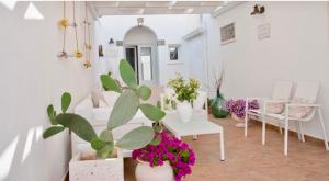 FellineにあるNonna Minaの鉢植えの植物とテーブルと椅子が備わる部屋