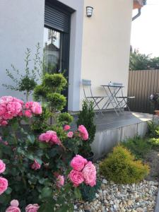 Kép Merula Park Studios szállásáról Egerben a galériában