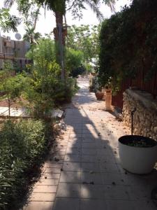 Zdjęcie z galerii obiektu הבית של דרורי w mieście Newe Zohar