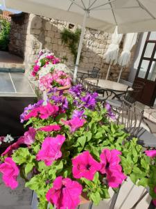 Vonkajšia záhrada v ubytovaní Golden B&B