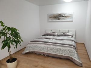 a bed in a white room with a potted plant at Carina Apartment in Kandern