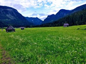 Príroda v okolí apartmánu