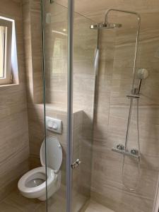uma casa de banho com um WC e uma cabina de duche em vidro. em Lunde Sea View Apartment em Rafailovici