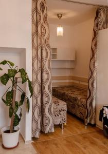 Zimmer mit einem Bett und einer Topfpflanze in der Unterkunft Apartmán v Sedlici in Sedlice