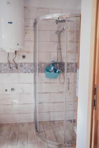 a bathroom with a shower with a blue sink at Tumiło in Dziwnów +20 photos