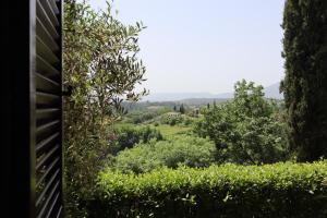 een uitzicht vanuit het huis door de bomen bij La Grande Finestra - Appartamento con giardino in Chiusi