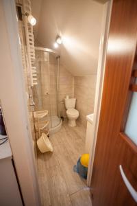 ein Bad mit einem WC und einer Glasdusche in der Unterkunft U Jarka in Smołdziński Las