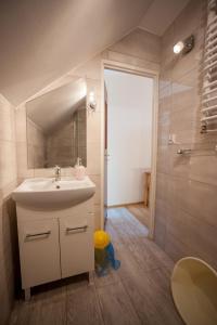 ein Bad mit einem Waschbecken und einer Dusche in der Unterkunft U Jarka in Smołdziński Las