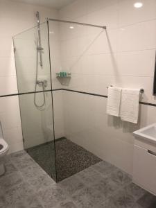 baño con ducha y puerta de cristal en motel-Yasniy, en Dnipro