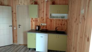 a kitchen with green and white cabinets and a sink at Eco House in Chornomorsk