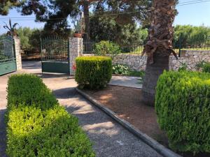 a garden with bushes and a fence and a tree at Nikolaos Studios Skala in Skala