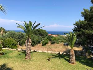 two palm trees in a field with the ocean in the background at Nikolaos Studios Skala in Skala