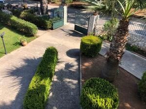 a garden with a palm tree and a sidewalk at Nikolaos Studios Skala in Skala