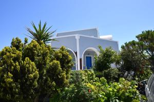 a white house with a blue door behind some trees at Santo Margarita in Oia