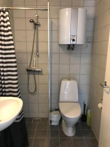 a small bathroom with a toilet and a sink at BB-Vadehavet Ferielejlighed til 6 personer ved Nationalpark Vadehavet in Ribe