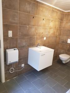 a bathroom with a sink and a toilet at La bulle au bois dormant d'ovifat in Robertville