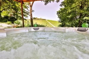 Spa i/ili drugi velnes sadržaji u objektu Il Vichiaccio Country House