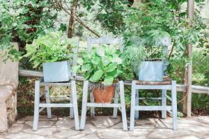 two chairs with potted plants on them at Afroditi Pansion in Agios Nikitas