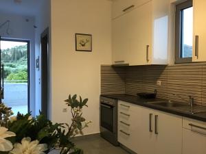 Кухня или мини-кухня в George's Apartment - Zakynthos

