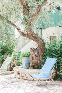 a couple of chairs sitting under a tree at Afroditi Pansion in Agios Nikitas