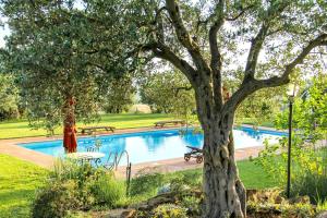 a swimming pool in a park with a tree at Villa Il Boschetto in Magliano in Toscana